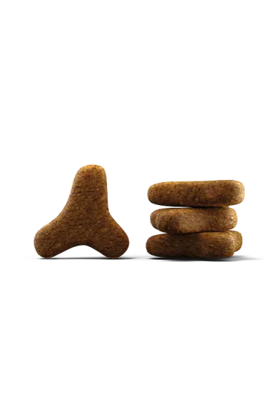 kibble_cat_naturelle.webp