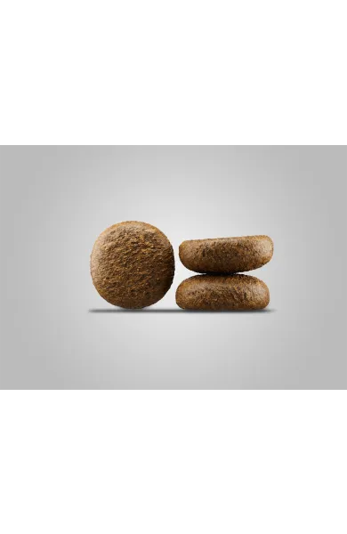 jos_krokette_activenature_hintergrund.webp