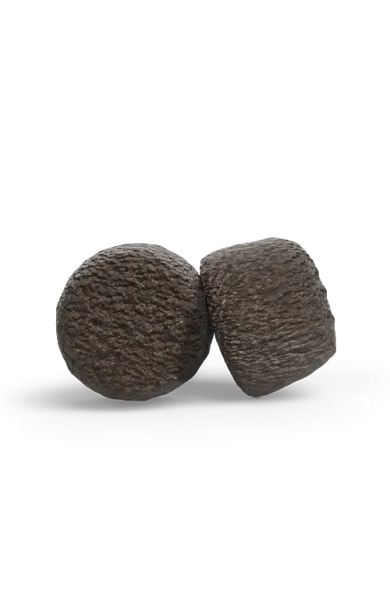 highprotein_adult_withchicken.webp