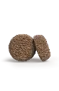 allsizes_adult_activenature.webp
