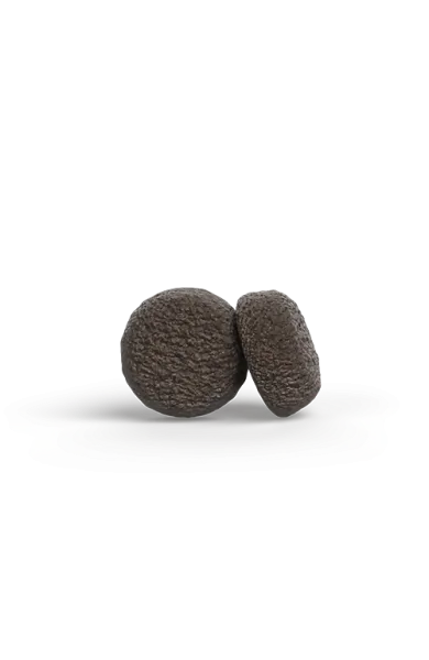 mini_adult_withsalmonchicken_1.webp