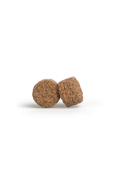 allsizes_motherpuppy_withsalmonrice.webp