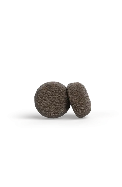 mini_adult_withduckpotato.webp