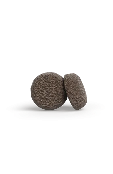 mini_junior_withducksalmon_2_2.webp