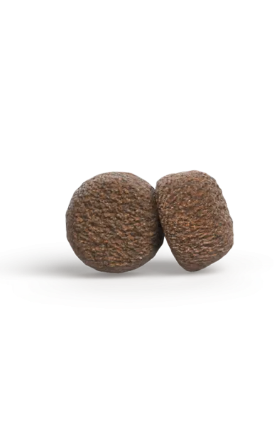 mini_senior_withchickenrice.webp