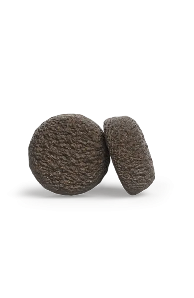 allsizes_adult_withduckpotato.webp