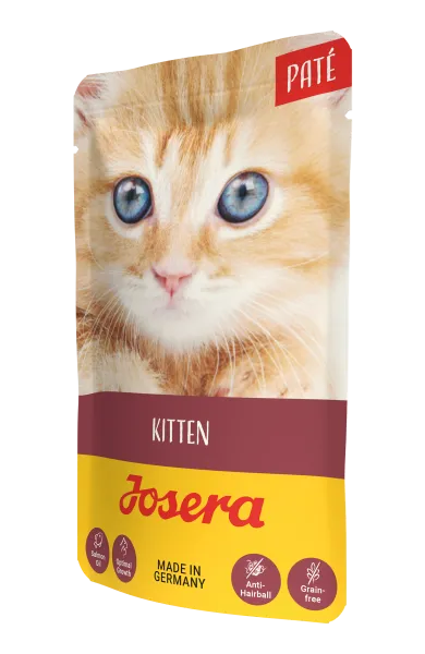 katze_josera_pate_kitten.webp