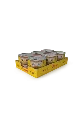 josera_kitten_salmon_wet_12x85g_seitlich.webp