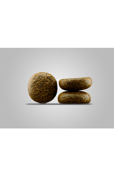 jos_krokette_seniorplus_hintergrund.png