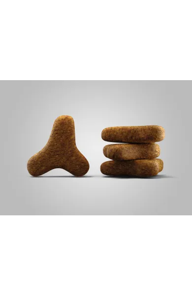 neuneujos_krokette_catelux_hintergrund.webp