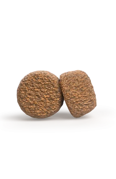 allsizes_senior_balance.webp