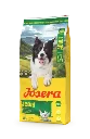 4032254785958_hund_josera_allsizes_adult_festival_12kg_sideview-left.webp
