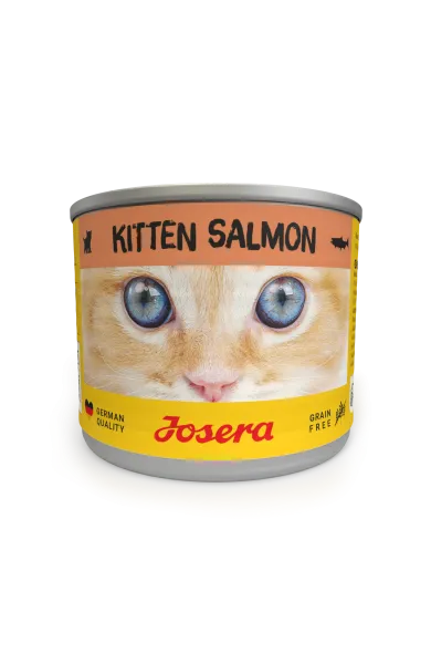 KITTEN SALMON WET 6X 200G